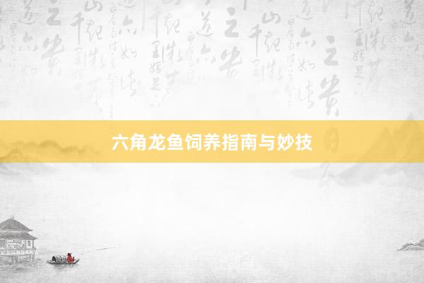 六角龙鱼饲养指南与妙技