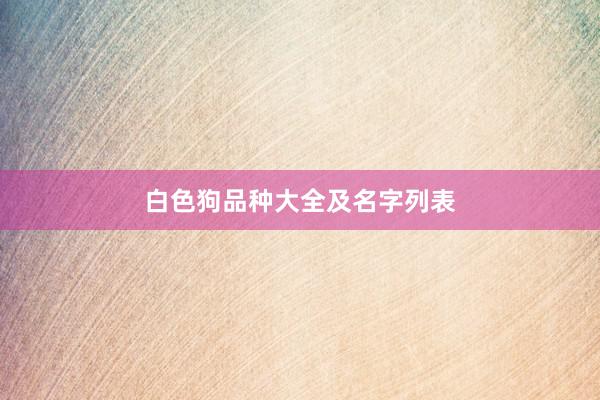 白色狗品种大全及名字列表