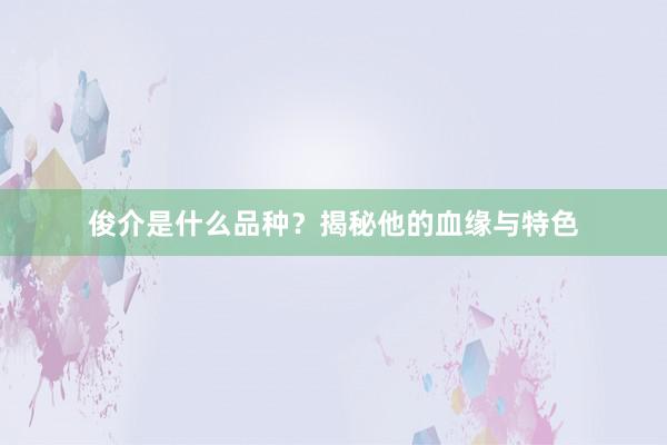 俊介是什么品种？揭秘他的血缘与特色